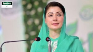 Punjab CM Maryam Nawaz bans keeping pet lions after child attack incident